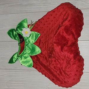 Velvet Puffy Strawberry Halloween Costume - Toddler 12m - Velcro